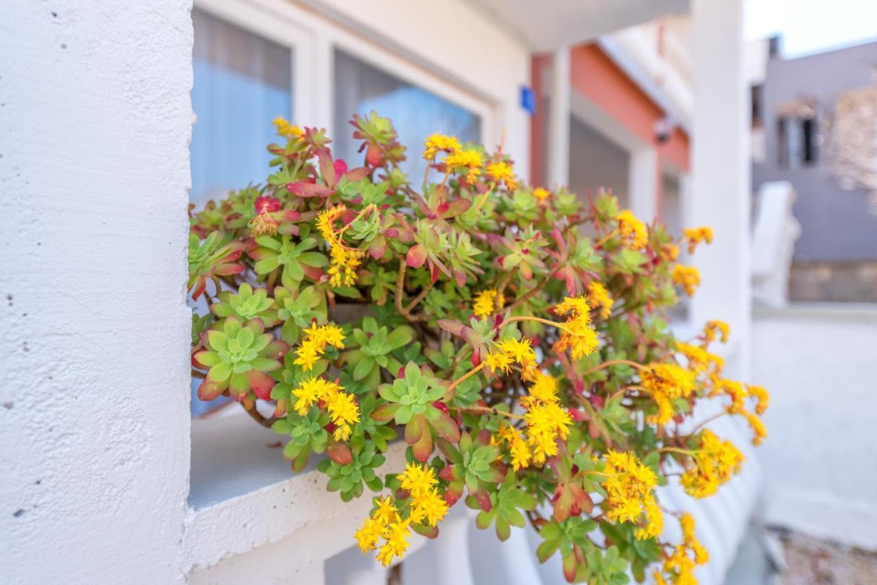 Apartment Tema Vir Ngoại thất bức ảnh